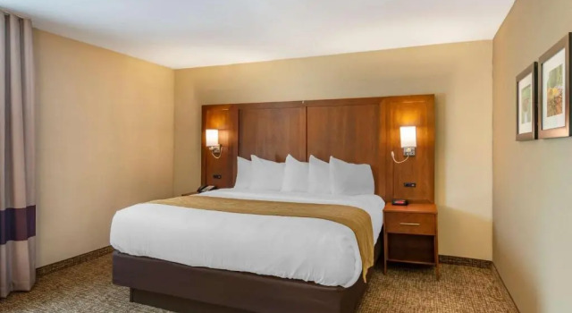 Номер Superior Comfort Inn Petersburg Fort Lee Area