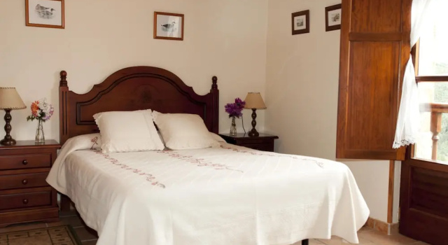 Номер Standard Trisqueles y Buganvillas