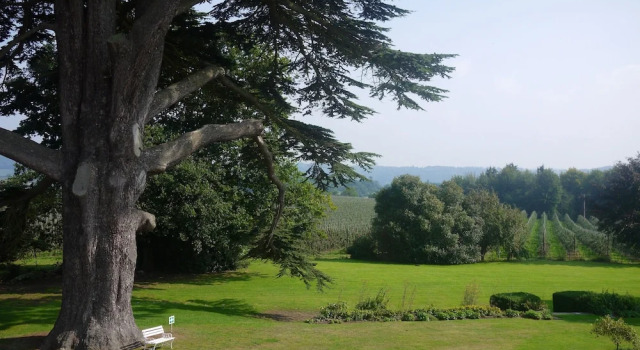 Номер Standard Glewstone Court Country House Hotel