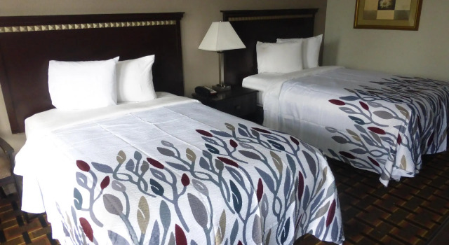 Номер Standard Red Roof Inn Evergreen