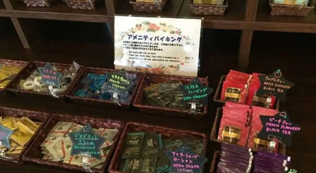Одноместный номер Deluxe International Hotel Ube