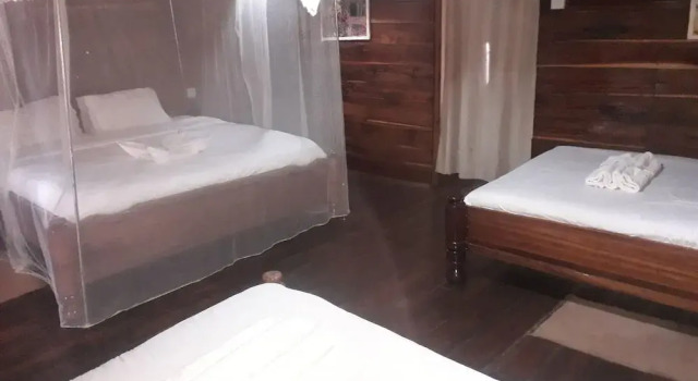 Номер Comfort Ikoma Safari Camp