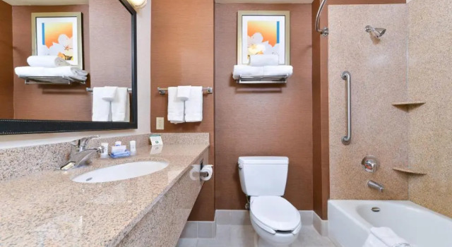 Номер Standard Fairfield Inn and Suites by Marriott Elk Grove
