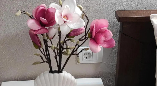 Апартаменты с видом на сад Guest House Aldin