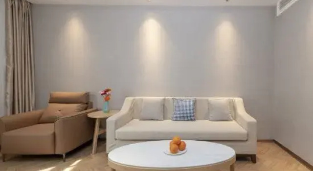 Люкс Deluxe Vienna Classic Hotel (Tianjin Eye Beining Park Subway Station)