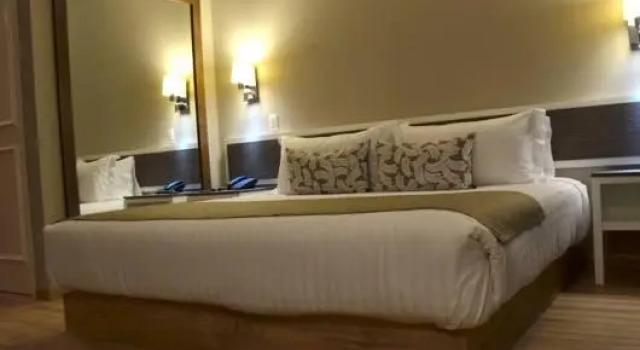 Полулюкс Hotel Plaza Revolución