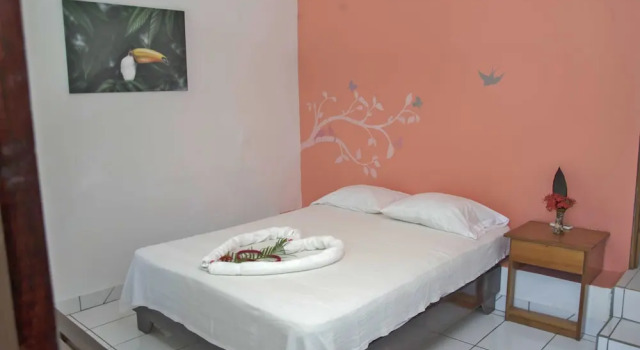 Двухместный номер Superior Pelican Beachfront Hotel