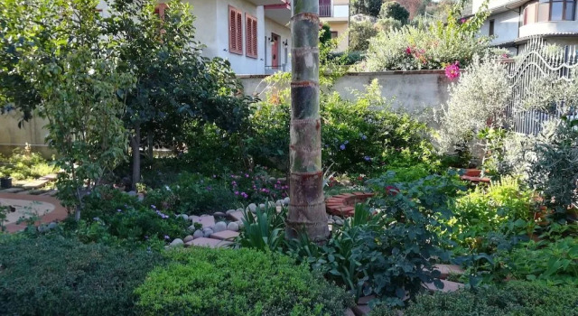 La Collina B&B