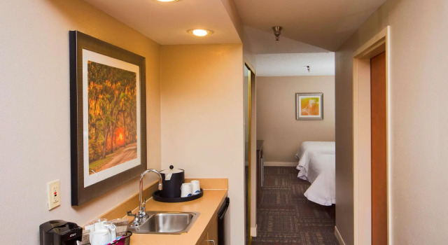 Четырёхместный люкс c 1 комнатой Hampton Inn & Suites Valdosta/Conference Center