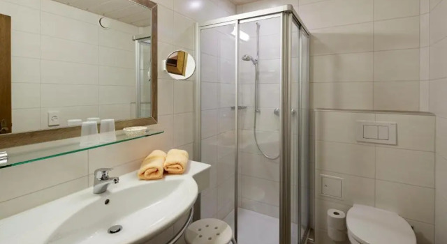 Двухместный номер Superior Hotel Rustika