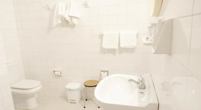 Трёхместный номер Standard Hotel Central