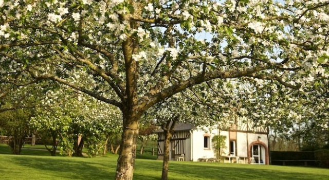 Locations - Domaine Le Coq Enchanté, Забронировать Отель  
