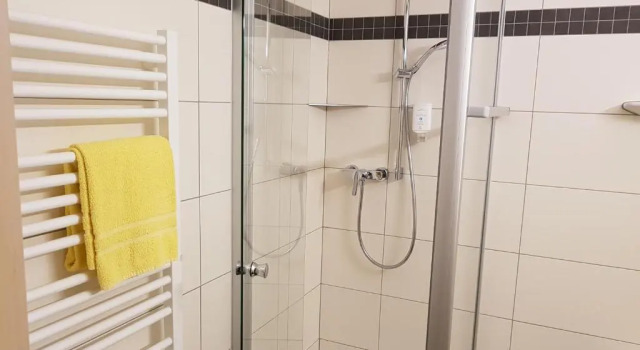 Трёхместный номер Standard Hotel Merian Rothenburg