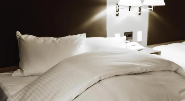 Номер Economy Oarks Canal Park Hotel Toyama