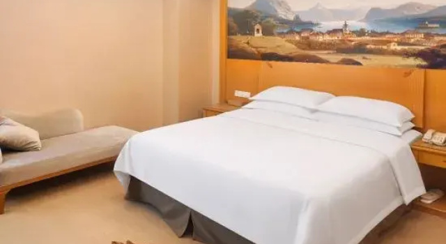 Люкс Deluxe Vienna International Hotel Guangdong Foshan Nanhai Heshun