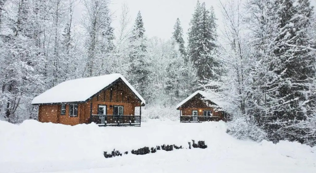 Шале Mt. Revelstoke Alpine Chalets