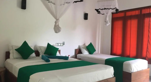 Номер Deluxe Liyon Rest sigiriya