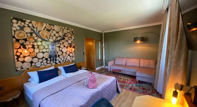 Номер Superior Harz Hotel & Spa Seela