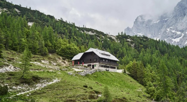 Апартаменты Cozy Apartment in the heart of Kranjska Gora