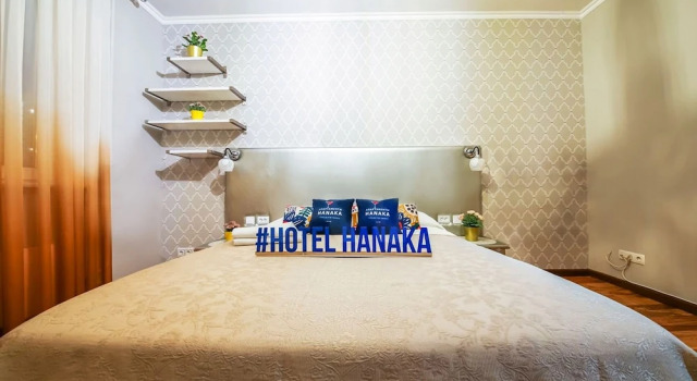 Апартаменты Апартаменты Hanaka Васильцовский стан