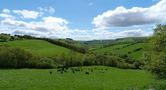 Коттедж Beacons View Farm Cottages