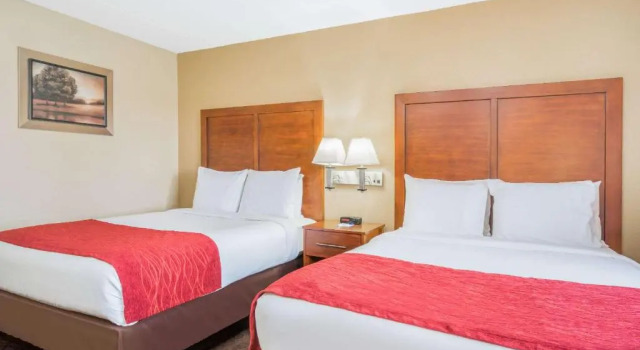 Четырёхместный номер Standard Baymont by Wyndham Kasson Rochester Area