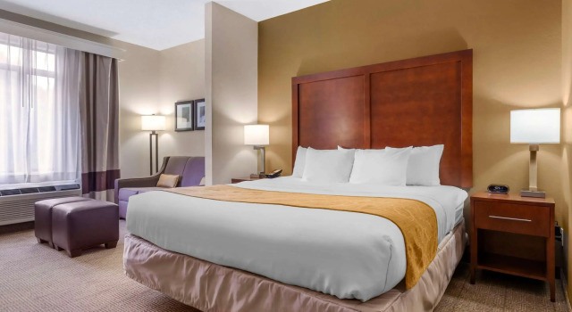 Двухместный люкс Comfort Suites Boone - University Area