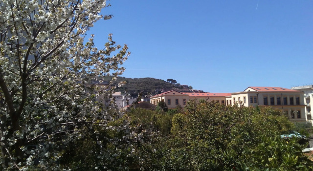 Sorrento Guest House