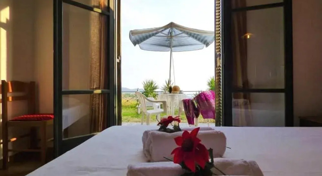 Garden Overlooking the Sea Near the Beaches