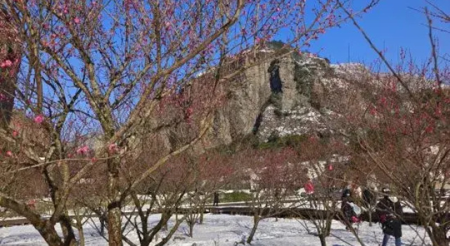 Wenzhou Yueqing Yandang Mountain Valley Homestay (Lingfeng Scenic Area)