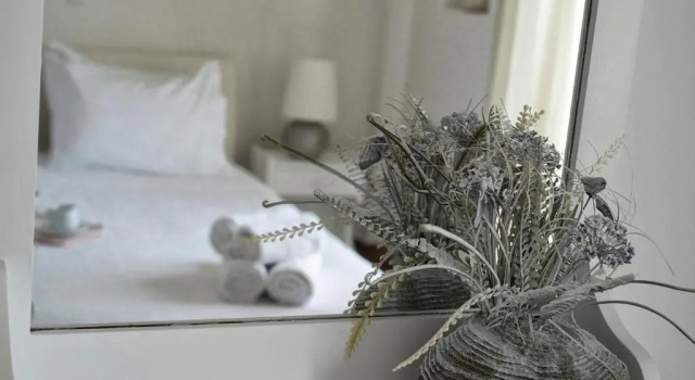 Двухместный номер Standard с видом на море Villa Fiamegou Andros