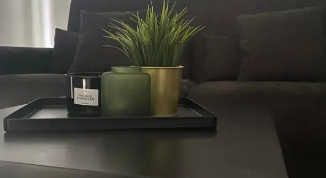 Pvteoli Suite