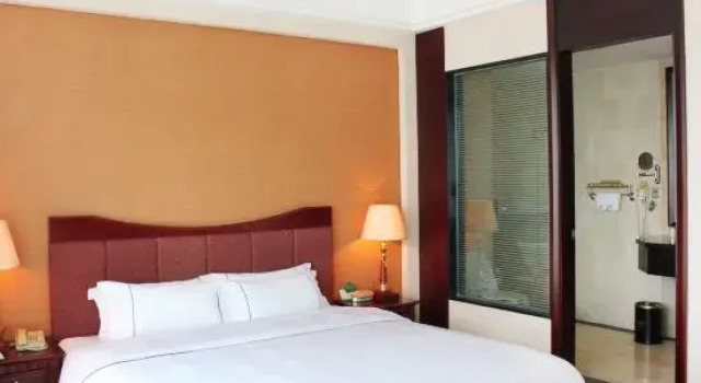 Люкс Standard Metropolitan Hotel