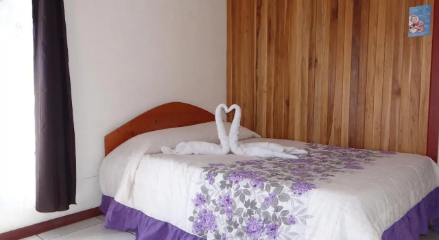 Monteverde Coati & Sloth Studios Apartaments Hotel, Забронировать Апартаменты/квартира Санта-Элена Монтеверде
