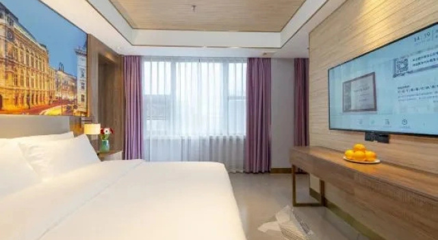 Люкс Vienna Hotel