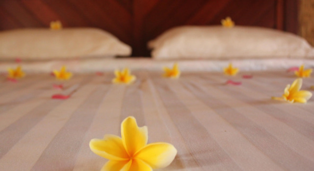 Bungalow Dream CoWork Hotel