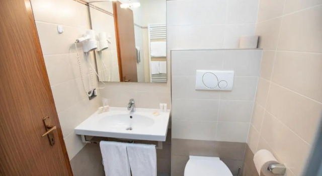 Четырёхместный номер Standard с видом на сад Hotel Posta