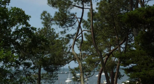 Апартаменты Appartement 2 chambres Bassin d'Arcachon front de mer, plage du Betey