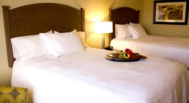 Четырёхместный номер Standard Hampton Inn Sydney
