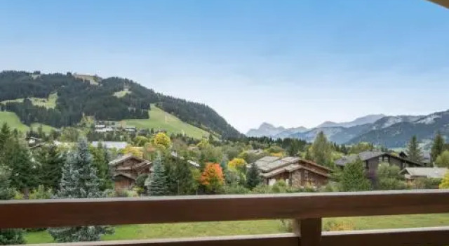 Apartment Location appartement 3 pièces megeve mont d'arbois 17, Забронировать Апартаменты/квартира Апартаменты Межев, рядом с Горнолыжный подъемник Мутели, Апартаменты/квартира