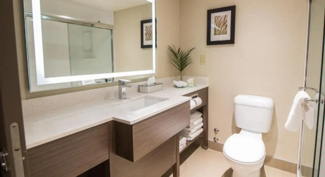Двухместный номер Deluxe Victoria Inn Hotel and Convention Center Winnipeg
