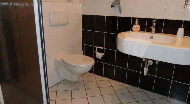 Двухместный номер Standard Hotel am Schloss Broich