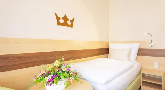 Номер Superior Hotel Česká Koruna