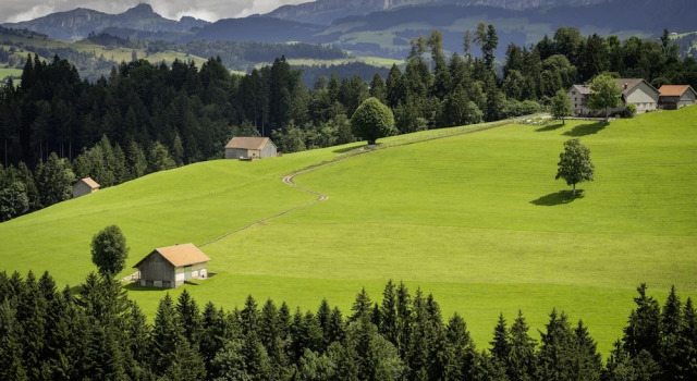 Номер Superior Vegan Health Hotel Sonnenberg