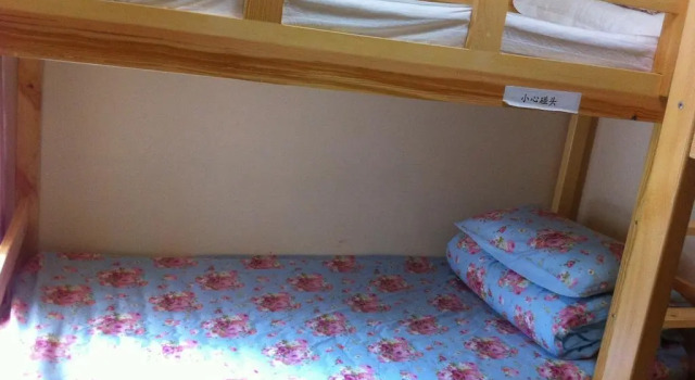 Jelly Young Hostel