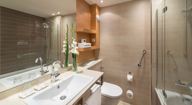 Двухместный номер Superior Dorint Thermenhotel Freiburg