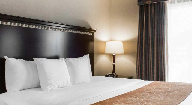 Номер Standard Comfort Suites Near Texas A&M - Corpus Christi