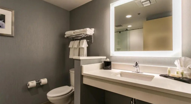 Двухместный номер Standard с видом на город Holiday Inn & Suites Chattanooga Downtown by IHG
