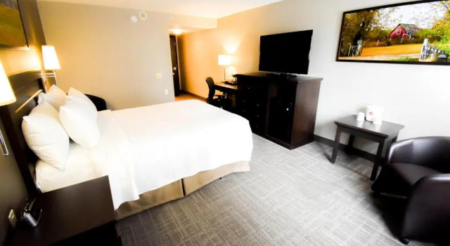Номер Standard Canad Inns Destination Centre Club Regent Casino Hotel