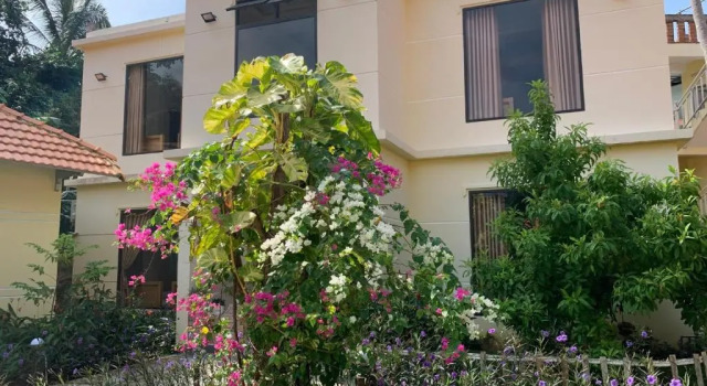 Sun  Wind Paradise Bungalow